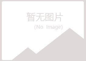 银川西夏友绿化学有限公司